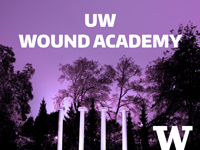 Image for UW Wound Academy program.