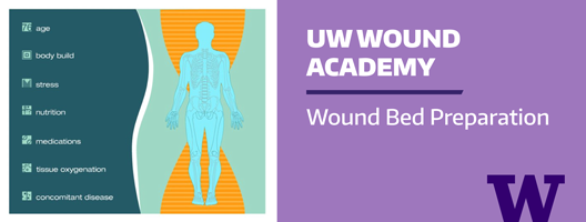 Image for Wound Academy Wound Bed Prep course.