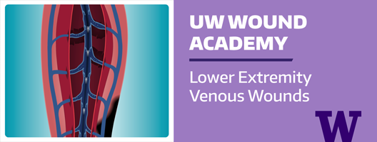 Image for Wound Academy Lower Extremity course.