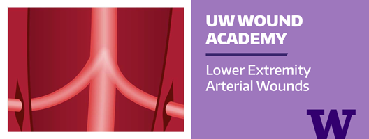 Image for Wound Academy Arterial Wounds.