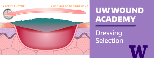 Image for Wound Academy Dressing Selection course.